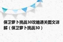 保卫萝卜挑战30攻略通关图文详解（保卫萝卜挑战30）