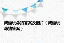成语玩命猜答案及图片（成语玩命猜答案）