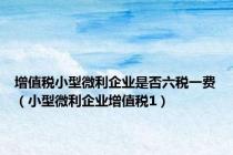 增值税小型微利企业是否六税一费（小型微利企业增值税1）