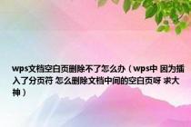 wps文档空白页删除不了怎么办（wps中 因为插入了分页符 怎么删除文档中间的空白页呀 求大神）