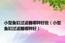小型鱼缸过滤器哪种好些（小型鱼缸过滤器哪种好）