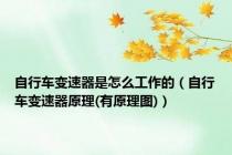 自行车变速器是怎么工作的（自行车变速器原理(有原理图)）