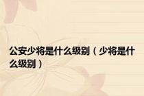 公安少将是什么级别（少将是什么级别）