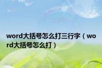 word大括号怎么打三行字（word大括号怎么打）