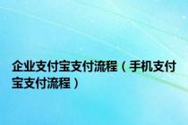 企业支付宝支付流程（手机支付宝支付流程）
