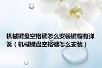 机械键盘空格键怎么安装键帽有弹簧（机械键盘空格键怎么安装）