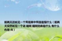 前两天还听见一个荒信其中荒信是指什么（前两天突然听见一个词 暗网 暗网到底是什么 有什么作用 真）