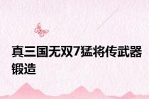 真三国无双7猛将传武器锻造