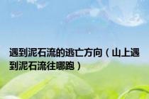 遇到泥石流的逃亡方向（山上遇到泥石流往哪跑）