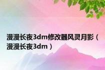 漫漫长夜3dm修改器风灵月影（漫漫长夜3dm）