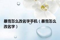 暴雪怎么改名字手机（暴雪怎么改名字）