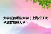 大学城有哪些大学（上海松江大学城有哪些大学）