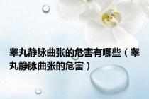 睾丸静脉曲张的危害有哪些（睾丸静脉曲张的危害）
