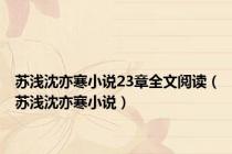 苏浅沈亦寒小说23章全文阅读（苏浅沈亦寒小说）