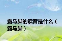 露马脚的读音是什么（露马脚）