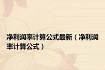净利润率计算公式最新（净利润率计算公式）