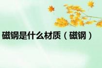 磁钢是什么材质（磁钢）