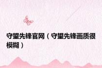 守望先锋官网（守望先锋画质很模糊）