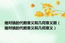 绝对值的代数意义和几何意义题（绝对值的代数意义和几何意义）