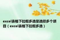 excel表格下拉框多选里选择多个项目（excel表格下拉框多选）
