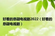 好看的悬疑电视剧2022（好看的悬疑电视剧）