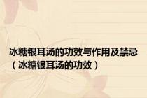 冰糖银耳汤的功效与作用及禁忌（冰糖银耳汤的功效）