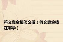 符文奥金棒怎么做（符文奥金棒在哪学）
