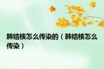 肺结核怎么传染的（肺结核怎么传染）