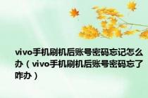 vivo手机刷机后账号密码忘记怎么办（vivo手机刷机后账号密码忘了咋办）