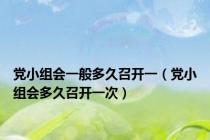 党小组会一般多久召开一（党小组会多久召开一次）