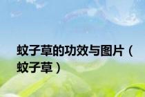 蚊子草的功效与图片（蚊子草）