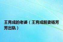 王育成的老婆（王育成前妻杨芳芳出轨）