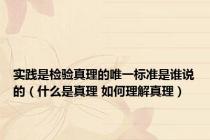 实践是检验真理的唯一标准是谁说的（什么是真理 如何理解真理）