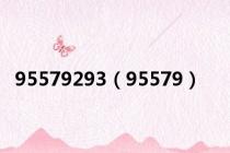 95579293（95579）