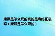 康熙是怎么死的真的是寿终正寝吗（康熙是怎么死的）