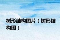 树形结构图片（树形结构图）