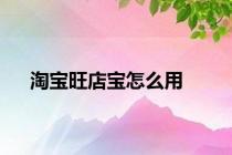 淘宝旺店宝怎么用