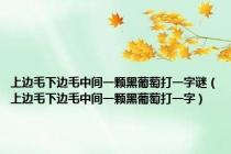 上边毛下边毛中间一颗黑葡萄打一字谜（上边毛下边毛中间一颗黑葡萄打一字）