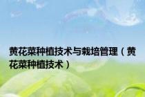 黄花菜种植技术与栽培管理（黄花菜种植技术）