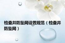 检查井防坠网设置规范（检查井防坠网）