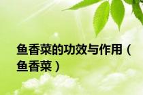 鱼香菜的功效与作用（鱼香菜）