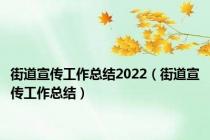 街道宣传工作总结2022（街道宣传工作总结）