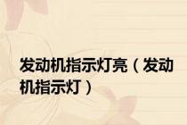 发动机指示灯亮（发动机指示灯）