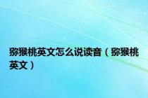 猕猴桃英文怎么说读音（猕猴桃英文）