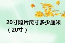 20寸照片尺寸多少厘米（20寸）