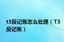 t3反记账怎么处理（T3反记账）