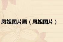 凤姐图片画（凤姐图片）
