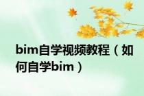 bim自学视频教程（如何自学bim）