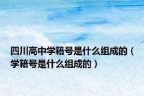四川高中学籍号是什么组成的（学籍号是什么组成的）