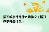 插刀教事件是什么薛佳宁（插刀教事件是什么）